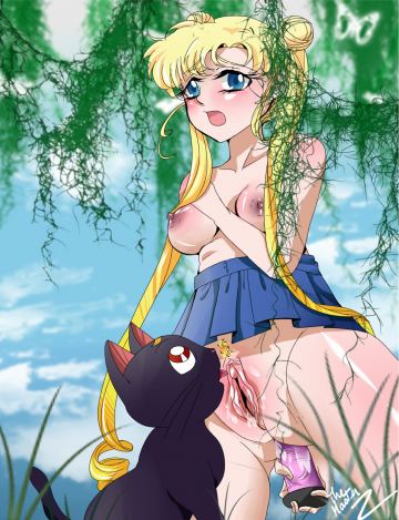 Sailor Saturn Sailor Mercury Sailor Moon